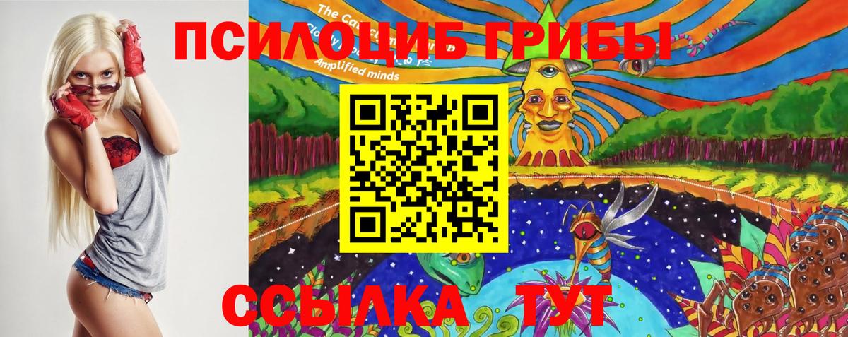 Галлюциногенные грибы Psilocybe Улан-Удэ