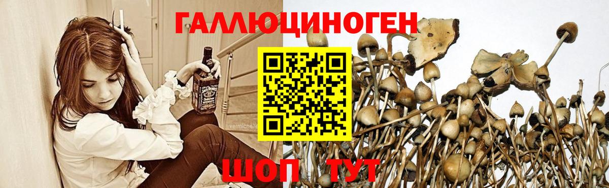 Псилоцибиновые грибы Magic Shrooms  Вход с VPN  Улан-Удэ 